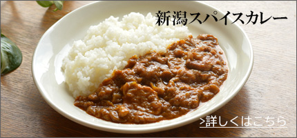 新潟スパイスカレー