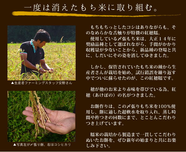 一度は消えたもち米に取り組む。